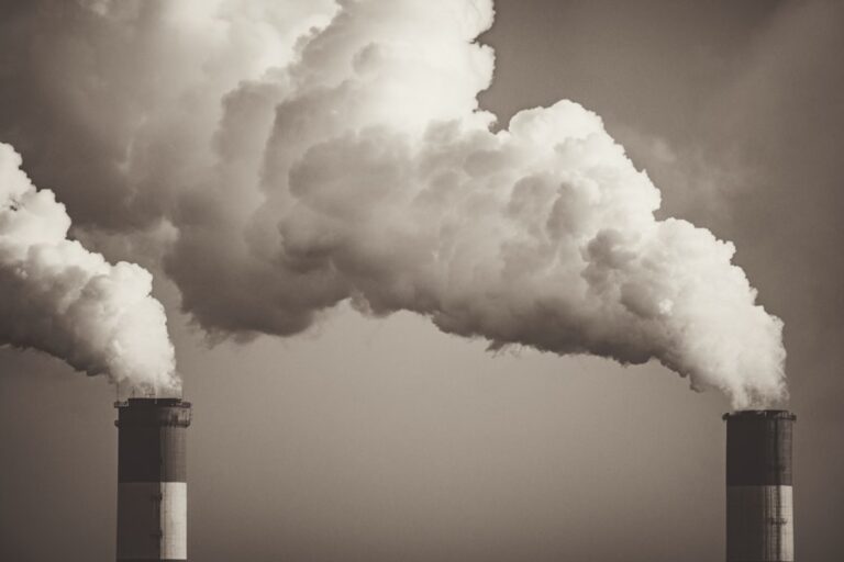 Jak działa rynek uprawnień do emisji CO2 w 2025 roku?